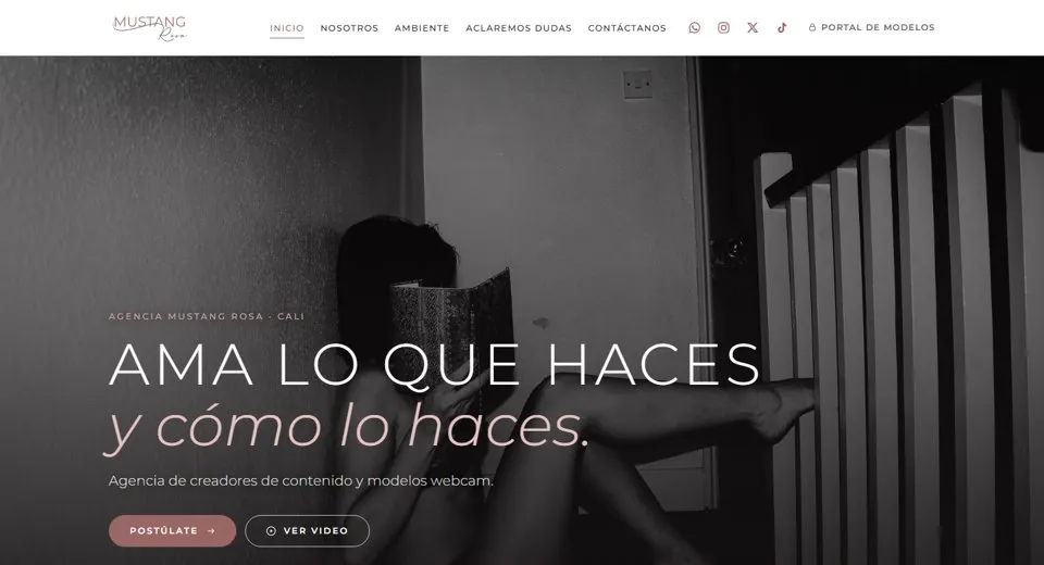 Sitio web de Agencia Mustang Rosa